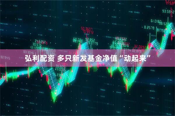 弘利配资 多只新发基金净值“动起来”
